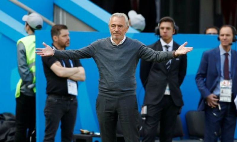 'Van Marwijk verrast en kan met vierjarig contract terugkeren als bondscoach' Afbeelding: 'Van Marwijk verrast en kan met vierjarig contract terugkeren als bondscoach'