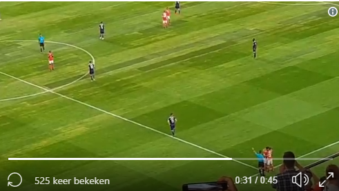 Oefenmatch van Anderlecht tegen Benfica wordt stilgelegd voor prachtig moment