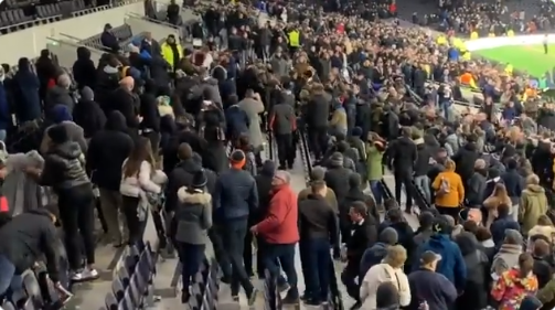 Bizarre beelden: furieuze Dier bestormt tribune en gaat Spurs-supporter te lijf