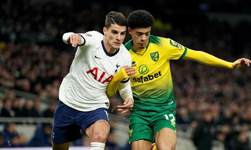 Norwich verdedigt hachje: Afbeelding: Norwich verdedigt hachje: