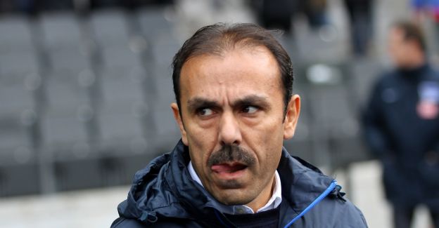 Hertha BSC-trainer Luhukay mikt op vier zomerse versterkingen
