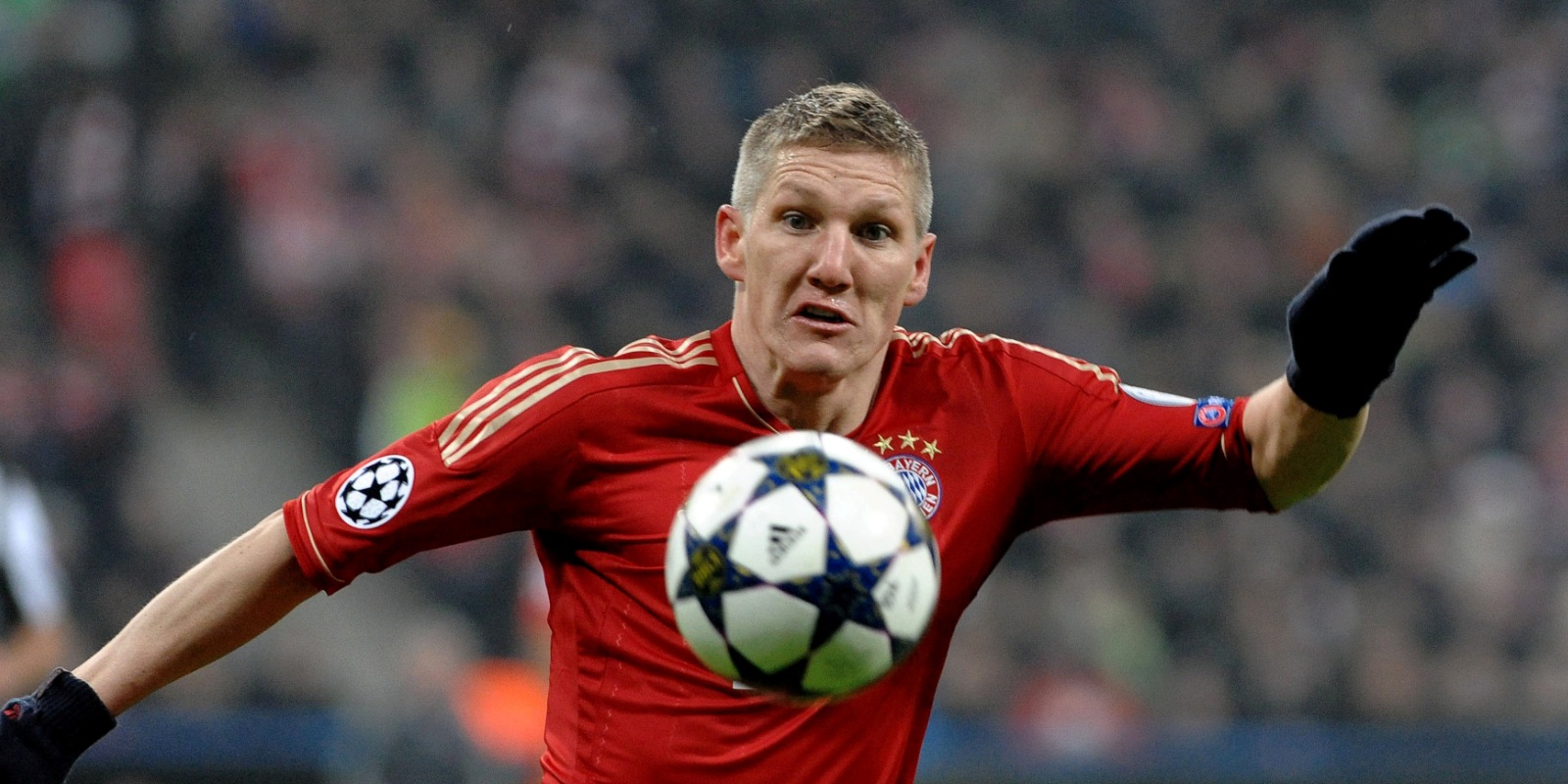 Schweini Schweini