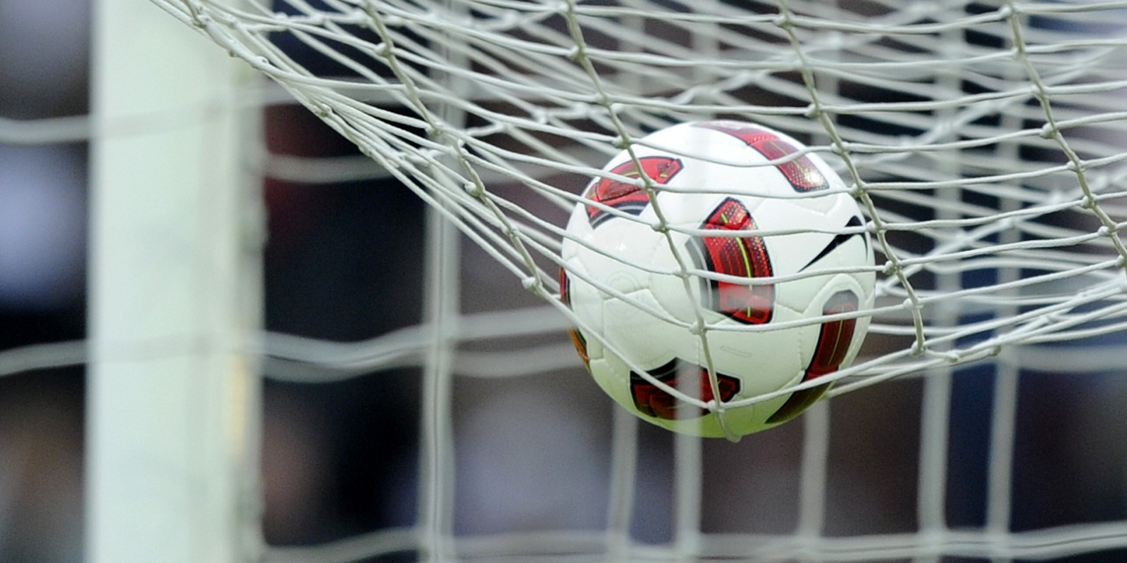FC Sion strikt wederom een nieuwe trainer