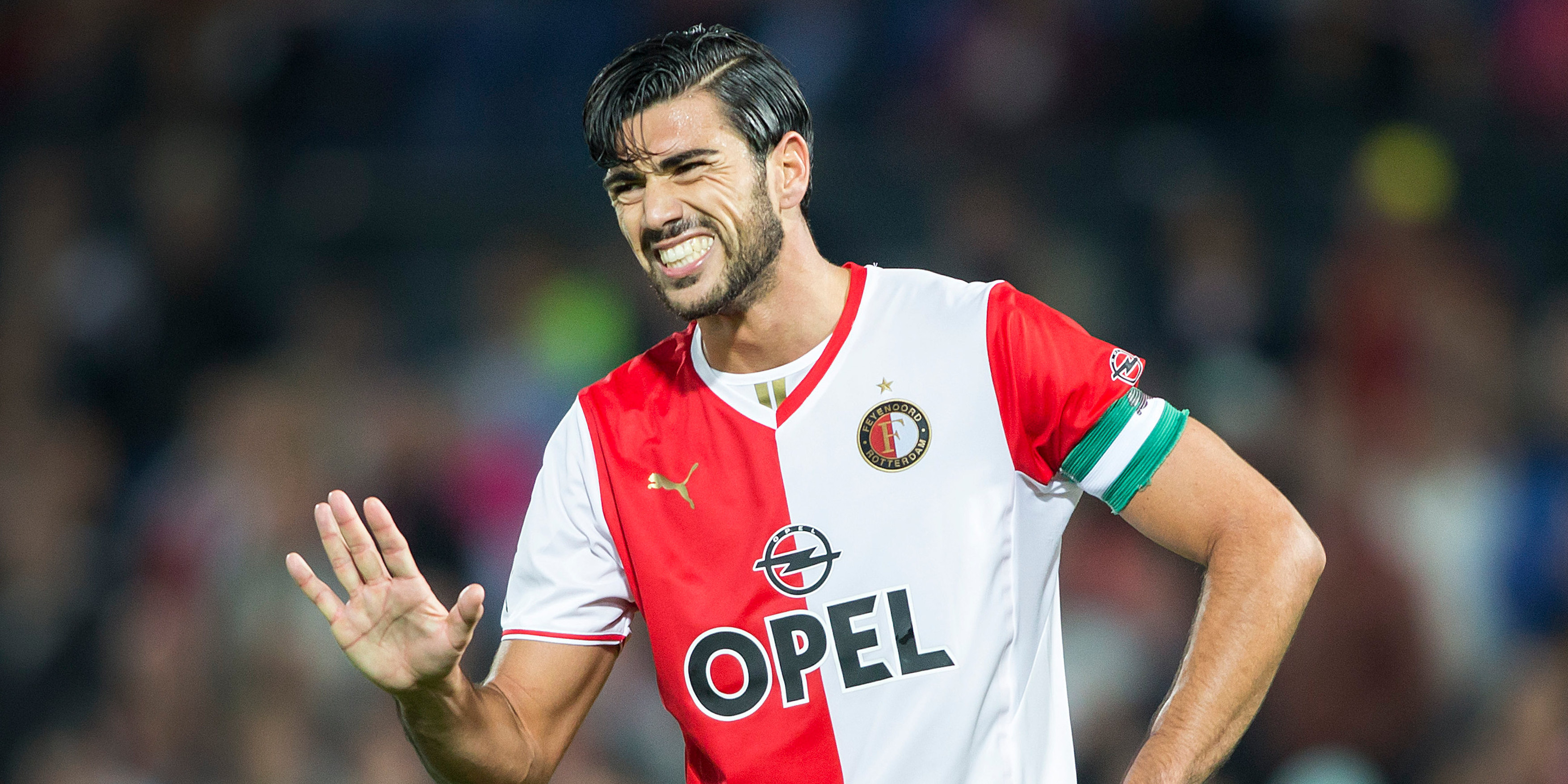 Gewilde Pelle: Afbeelding: Gewilde Pelle: